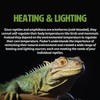 Fluker's Incandescent Reptile Lighting, Full Spectrum Daylight Bulb for Reptiles,