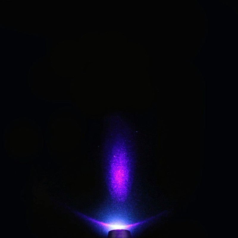 5x Super Bright Signal Screw LEDs Ultraviolet UV 24 V