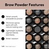 Color and Control Brow Kit (Raven)