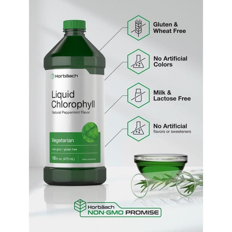 Chlorophyll 100mg | 32oz Liquid | Natural Peppermint Flavor