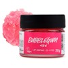 Lush Lip Scrub, Bubblegum, 1 ea, 20g / 러쉬 립 스크럽, 버블검, 1개, 20g