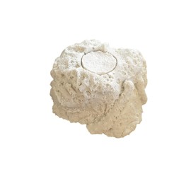 Coral Frag Propagation Rock x 1 With Plug