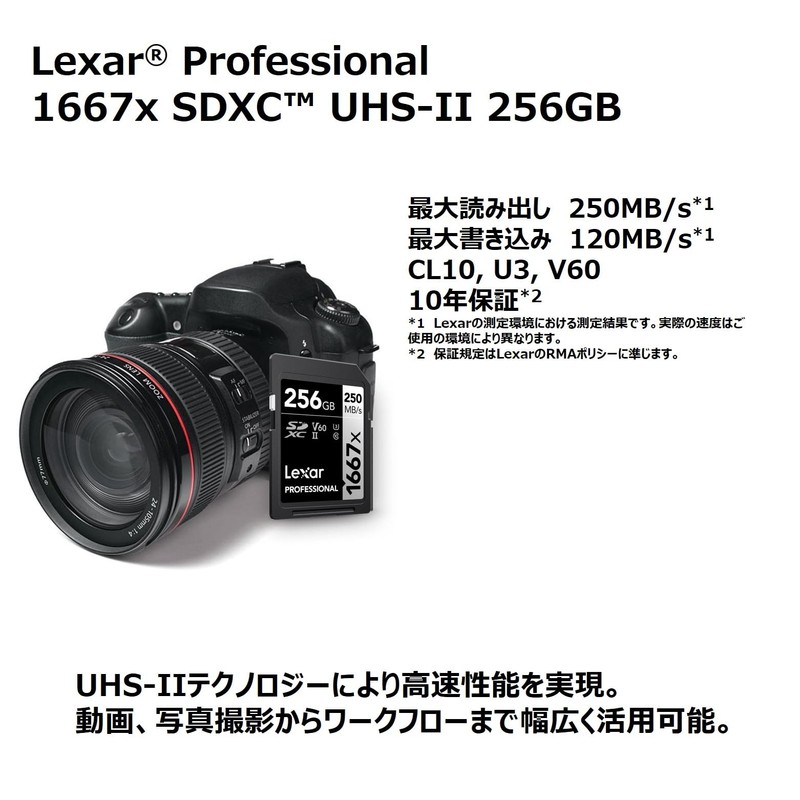 Lexar LSD256CB1667 SDXC Card, 256 GB, Silver Series, Class 10