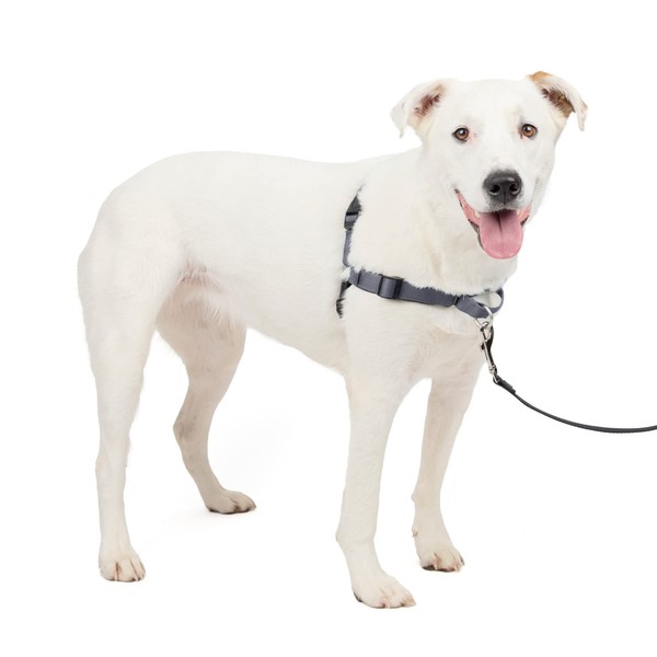 PetSafe Easy Walk Deluxe Dog Harness, No Pull Dog Harness