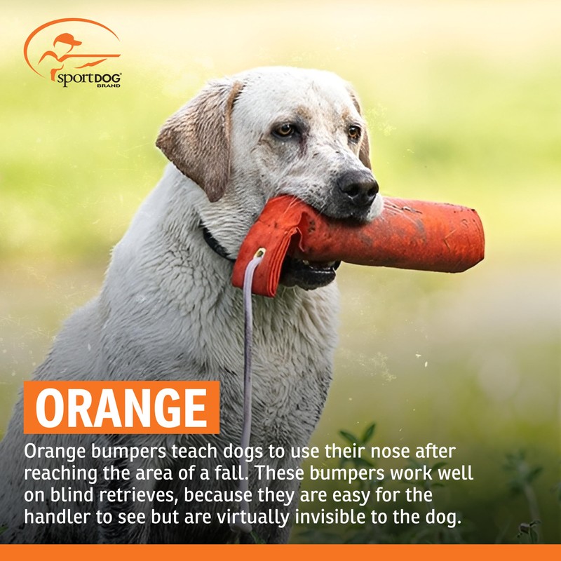 SportDOG Canvas Dummies - Hunting Dog Training Tool - Game