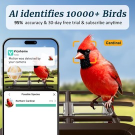 Festival Gift for Bird Lovers, Mom, Dad & Kids: Solar-Powered Smart Bird Feeder with Camera - AI Identify 10K+ Birds, 2K HD Live, WiFi Outdoor Garden Birdhouse Cam