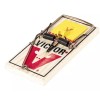 Victor Large Professional Rat Trap, Easy To Set Snap Catch