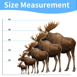 DP BOUTIQUE Moose 1FT Life Size Cardboard Cutout, Safari Theme Decoration, Animals Standup for Events, Party, Photography Props, 1 PC