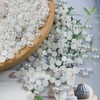 1000pcs 5mm Half Pearl Beads Flatback Pearl Beads Half Round