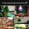 FIVEAGE 100W UVA Reptile Basking Spot Heat Lamp, White Cover