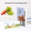 Sezanrpt 2x6 Acrylic Pictures Frames, Transparent 2 Sided Ticket Frame