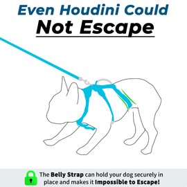 Wuffley Escape Proof Dog Harness and Leash Set, Lightweight Dog Harness with Lift and Assist Handle, No Pull Reflective Pet Vest for Small Medium Dogs, Ideal for Puppy Walking and Training (Blue, M)