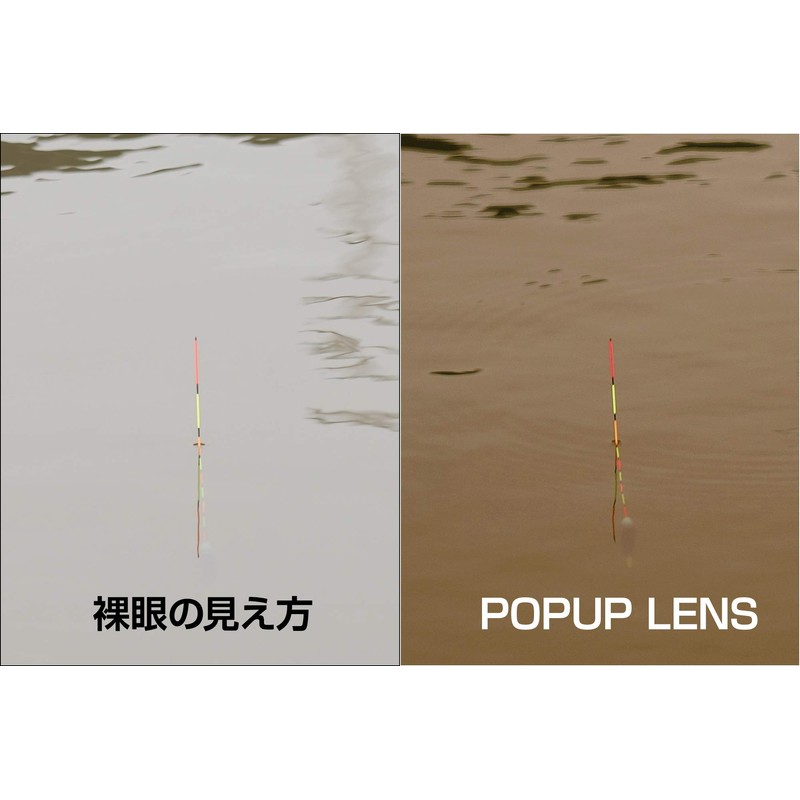 Bunny Walk BW-021 BW-0211C Polarized Sunglasses, Shiny Black, HC-BROWN Pop