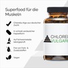 YPSI Chlorella Vulgaris - Micro Algae Capsules with Folic Acid