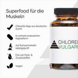 YPSI Chlorella Vulgaris - Micro Algae Capsules with Folic Acid and Iron - Vegan - 200 Capsules