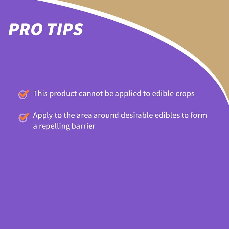 Bonide Chipmunk, Squirrel & Rodent Repellent, 32 oz Ready-to-Spray for