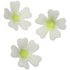 PME PR261 Stainless Steel Primrose Flower Petal Cutters, Set of