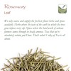 Rosemary Organic Culinairy Gourmet Herb - Rosmarinus Officinalis Directly from
