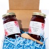JoeB Gourmet Raspberry Red Pepper Jelly, 2 Pack - 9