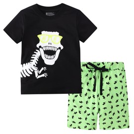 BIBNice Toddler Boy Clothes Kids Summer Outfits Short Sleeve Clothing Sets Dinosaur Size 4T