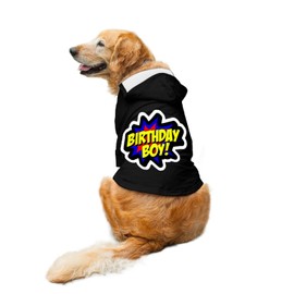 Ruse- Birthday Boy Printed Full Sleeves Dog Autumn Winter Hoodie Jacket/Apparel/Clothes/Jackets Gift for Dogs.Black/Large (Full Grown Desi/Stray, Doberman etc.)