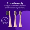 BURST Genuine Replacement Heads for Original Sonic Electric Toothbrush (Rose