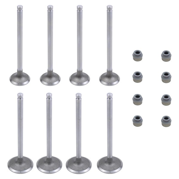 Inlet Valve Outlet Valve Set with Valve Stem Seal for