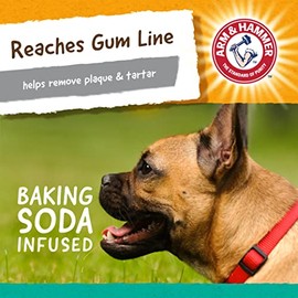 Arm  Hammer - Juguete para perros AH Treadz Gorilla                                                                                                   