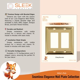Sleek Lighting | Luxe Essance Gold Steel Wall Plate Collection | Outlet, Switch, Electric Cover (2 Gang Decorator)