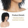 Fallsea Black Afro Curly Wigs For Black Women Short Kinky