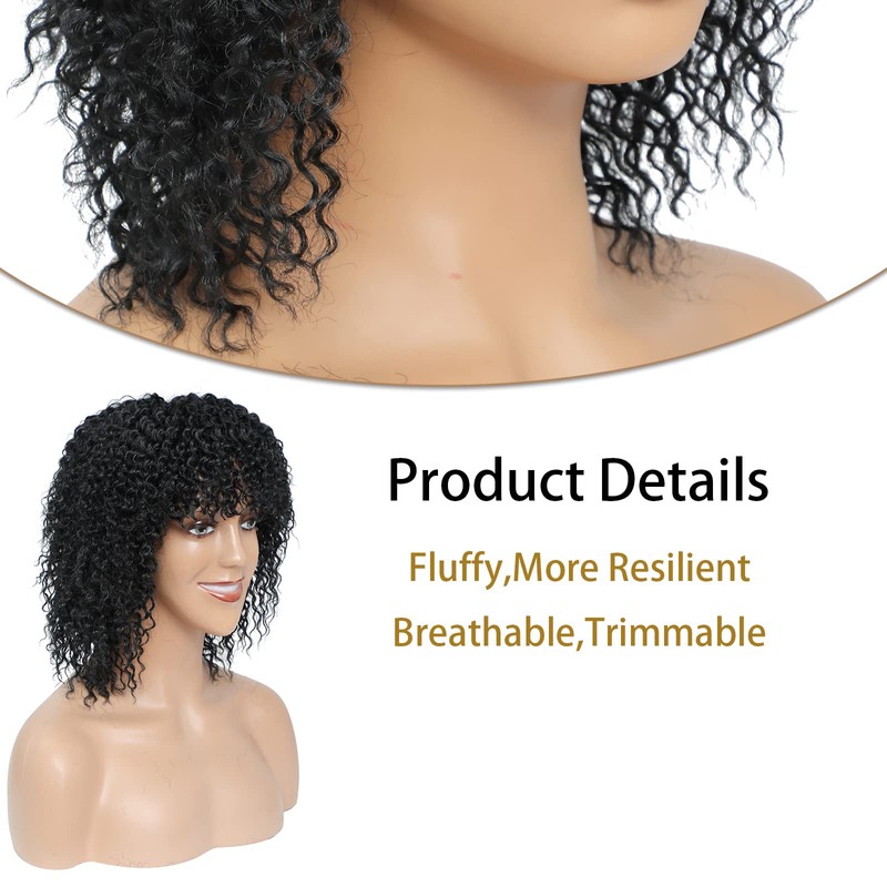 Fallsea Black Afro Curly Wigs For Black Women Short Kinky