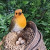 Robin Standing on Rusty Pail Guarding Eggs Highly Detailed Home