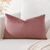 Artscope Luxury Velvet Cushion Covers Super Soft Decorative Rectangle Throw
