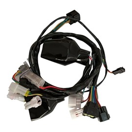 Goodfind68 New Wiring Harness Assembly Compatible with Sur-Ron X Light Bee X Segway X260