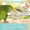 PINVNBY 6 Pack Small Sola Balls Bird Toys Soft &