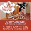 OUT! PetCare No Chew Bitter Cherry Flavor Deterrent, Puppy Training,