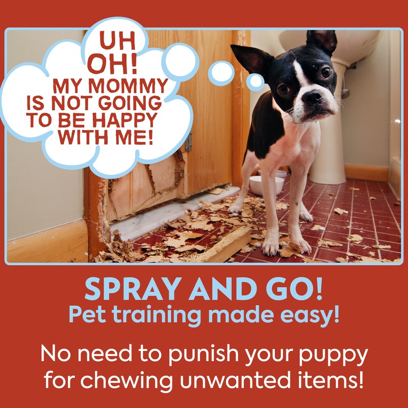 OUT! PetCare No Chew Bitter Cherry Flavor Deterrent, Puppy Training,