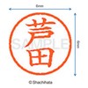 Shachihata Stamp Name 6 Correction Stamp XL-6 Stamp 0.2 inch