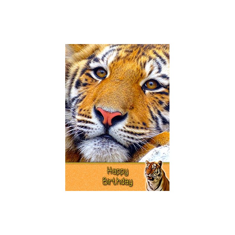 Tiger Birthday Card