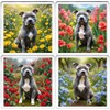 Blue Staffy Coaster Set. 4 different Staffordshire Bull Terrier Dog