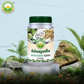 BASIC AYURVEDA Ashwagandha Tablets - 1000mg | Winter Cherry Herbal Supplement | Plant-Based Formula for Daily Routine | Natural Root Extract for Men & Women | 40 Tablets