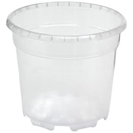 Floralo Flower pot, orchid pot, diameter 12 cm, transparent, 12 x 12 x 10.3 cm, 0.8 L, 724