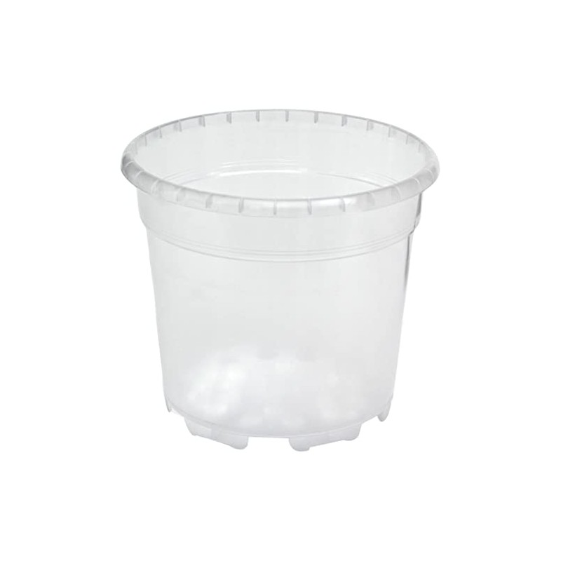 Floralo Flower pot, orchid pot, diameter 12 cm, transparent, 12