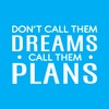 Vinyl Wall Art Decal - Don't Call Them Dreams Call