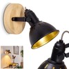 Tina Ceiling Light in Various Designs