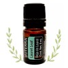 Doterra Aceite Esencial De Hoja De Laurel Doterra 5 Ml