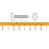 binifiMux 6pcs M8 x 160mm - 1.25mm Pitch Hex Socket