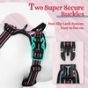 rabbitgoo Dog Harness No Pull with 2 Leash Clips, Adjustable