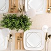 Blue Sky Organic White Disposable Plates 7.25" Square (10 Count)