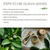 Guava Tea – Whole Dried Guava Leaves 300+ Leaves